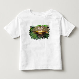 Afrikaanse Gravende Brulkikker, Pyxicephalus 2 Kinder Shirts