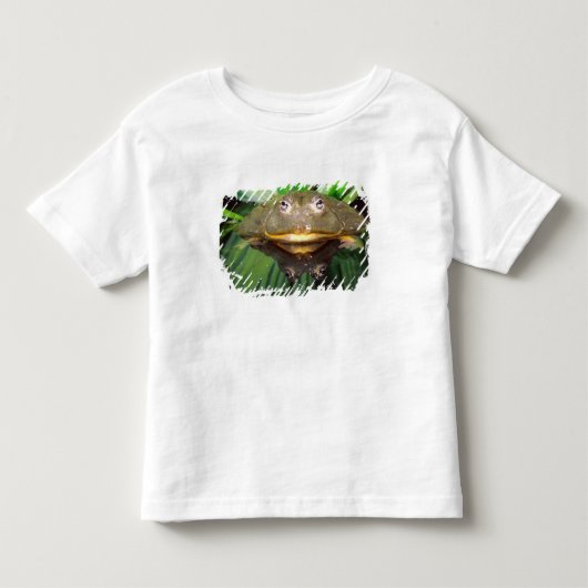 Afrikaanse Gravende Brulkikker, Pyxicephalus 2 Kinder Shirts (Voorkant)