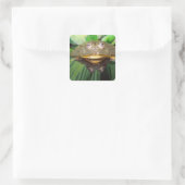 Afrikaanse Gravende Brulkikker, Pyxicephalus 2 Vierkante Sticker (Tas)