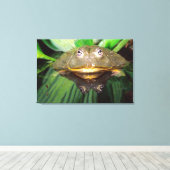 Afrikaanse gravende brulkikker, Pyxicephalus Canvas Afdruk (Insitu (Houten vloer))