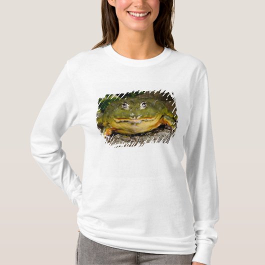 Afrikaanse Gravende Brulkikker, Pyxicephalus T-shirt (Voorkant)