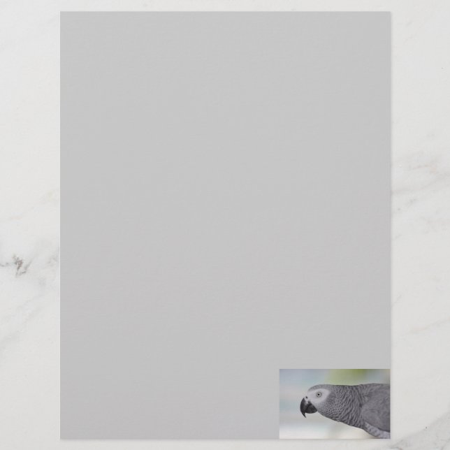 Afrikaanse Gray Parrot Business Letterhead Briefhoofd Ontwerp (Voorkant)