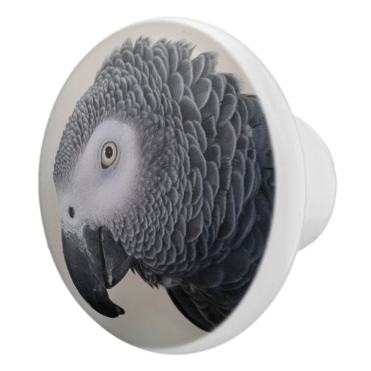 Afrikaanse Gray Parrot Dresser Knobs Keramische Knop (Rechts)