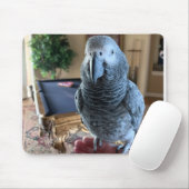 Afrikaanse Gray Parrot-pooltafel Muismat (Met muis)