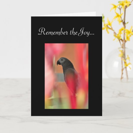 Afrikaanse Grey Parrot Pet Sympathy Kaart (Gele Bloem)