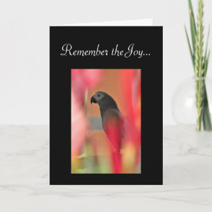 Afrikaanse Grey Parrot Pet Sympathy Kaart