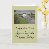 Afrikaanse Grey Parrot Pet Sympathy Kaart (Gele Bloem)