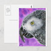 Afrikaanse grijs briefkaart (Voorkant / Achterkant)