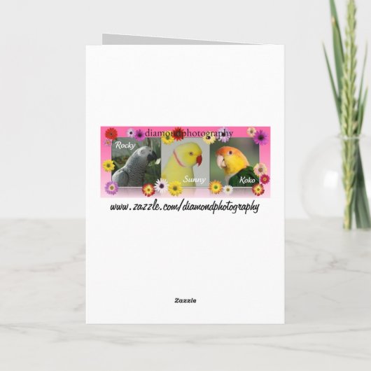 Afrikaanse grijze en geometrische rode rozen kaart (Achterkant)