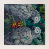 Afrikaanse Grijze Kaki-Bes Duet Legpuzzel (Horizontaal)