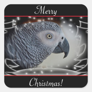 Afrikaanse grijze kerst vierkante sticker