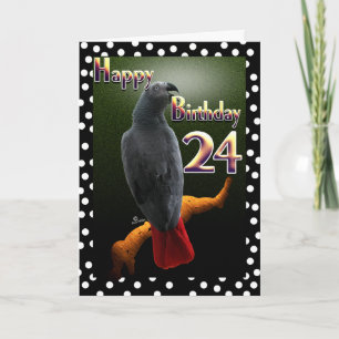 Afrikaanse Grijze Kongo-papegaaipokken 24e B-dag Kaart