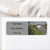 Afrikaanse grijze lakeside etiket (Insitu)