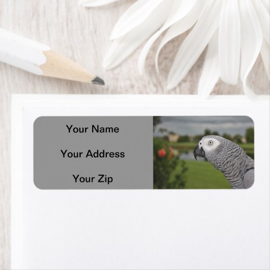 Afrikaanse grijze lakeside etiket (Insitu)