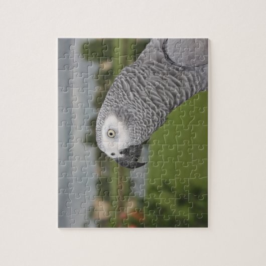 Afrikaanse grijze lakeside legpuzzel (Verticaal)