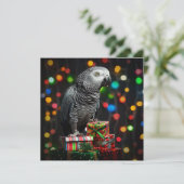 Afrikaanse Grijze over Cadeaus — Kerstkaart (Staand voorkant)