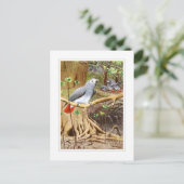 Afrikaanse grijze papegaai briefkaart (Staand voorkant)