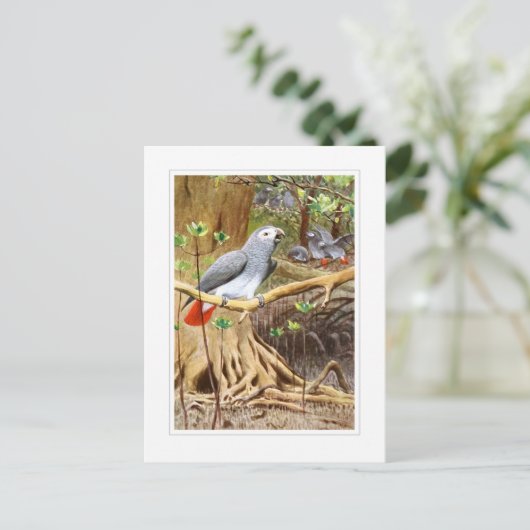 Afrikaanse grijze papegaai briefkaart (Staand voorkant)