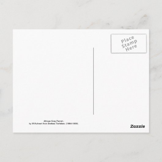 Afrikaanse grijze papegaai briefkaart (Achterkant)