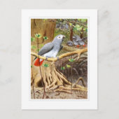 Afrikaanse grijze papegaai briefkaart (Voorkant)