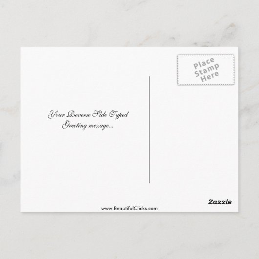 Afrikaanse grijze papegaai briefkaart (Achterkant)