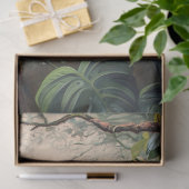 Afrikaanse grijze papegaai decoupage tissuepapier (Geschenk)