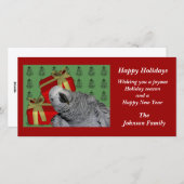 Afrikaanse Grijze Papegaai Dier Kerstmis Vakantiek Feestdagenkaart (Voorkant / Achterkant)