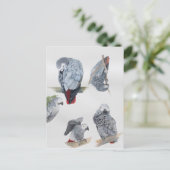 Afrikaanse grijze papegaai. Exclusief ontworpen do Briefkaart (Staand voorkant)