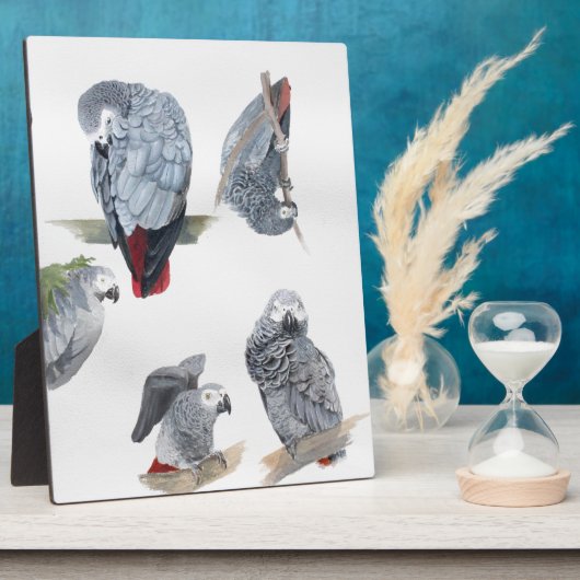 Afrikaanse grijze papegaai. Exclusief ontworpen do Fotoplaat (Zijkant)