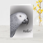 Afrikaanse grijze papegaai kaart (Gele Bloem)
