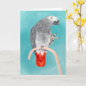 Afrikaanse Grijze Papegaai Kaart (Gele Bloem)