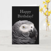 Afrikaanse grijze papegaai kaart (Gele Bloem)