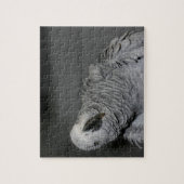 Afrikaanse Grijze papegaai Legpuzzel (Verticaal)