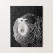 Afrikaanse grijze papegaai legpuzzel (Verticaal)