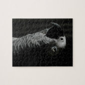 Afrikaanse grijze papegaai legpuzzel (Horizontaal)