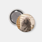 Afrikaanse grijze papegaai magneet (Voorkant / Achterkant)