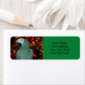 Afrikaanse grijze papegaai met kerstboom etiket (Insitu)