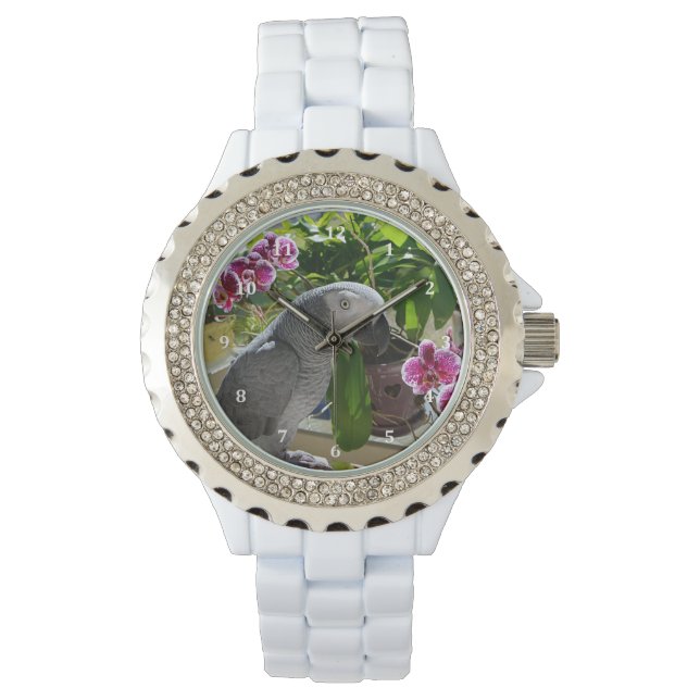 Afrikaanse grijze papegaai met orchideeën horloge (Voorkant)