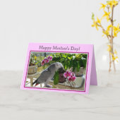 Afrikaanse Grijze Papegaai met Orchideeën Kaart (Gele Bloem)