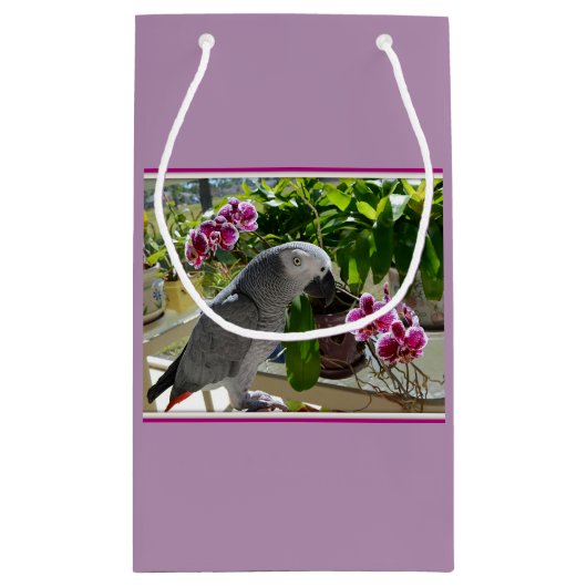 Afrikaanse grijze papegaai met orchideeën klein cadeauzakje (Achterkant)