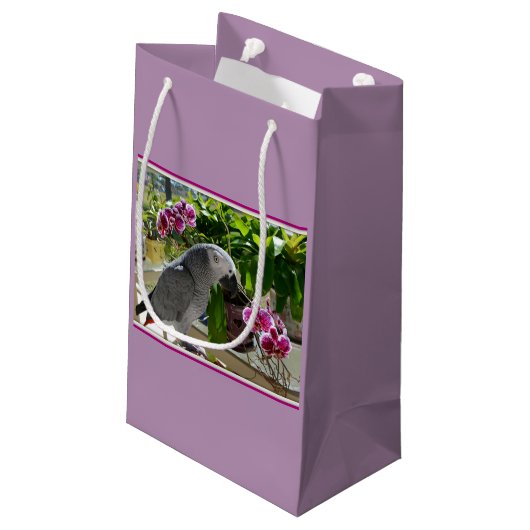Afrikaanse grijze papegaai met orchideeën klein cadeauzakje (Achterkant Gekanteld)