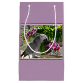 Afrikaanse grijze papegaai met orchideeën klein cadeauzakje (Voorkant)