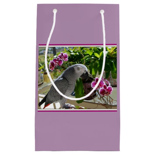 Afrikaanse grijze papegaai met orchideeën klein cadeauzakje (Voorkant)