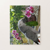 Afrikaanse grijze papegaai met orchideeën legpuzzel (Verticaal)