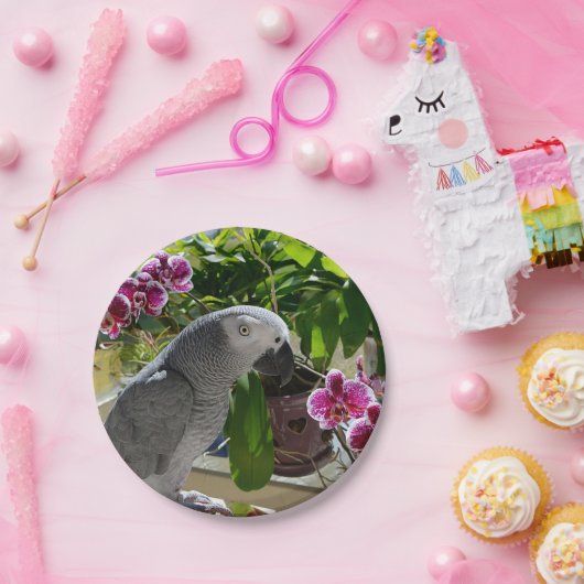 Afrikaanse grijze papegaai met orchideeën papieren bordje (Feest)