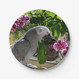 Afrikaanse grijze papegaai met orchideeën papieren bordje