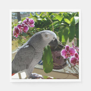 Afrikaanse Grijze Papegaai met Orchideeën Servet
