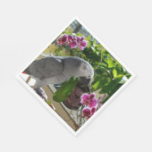 Afrikaanse grijze papegaai met orchideeën servet (Hoek)