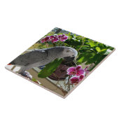 Afrikaanse grijze papegaai met orchideeën tegeltje (Zijkant)