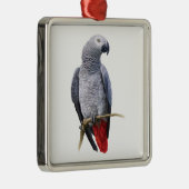 Afrikaanse grijze papegaai metalen ornament (Rechts)